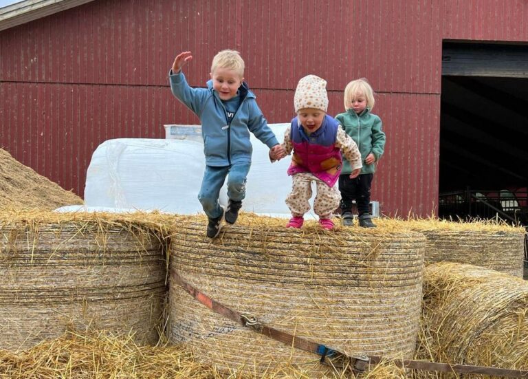 KOSTE SEG I FJOR: Det ble besøksrekord for åpen gård under fjorårets Pultost- og Akevittdager. Her ser vi Oskar Nordli Østgård, Marie Andreassen Kvæken og Emil Nordli Østgård.