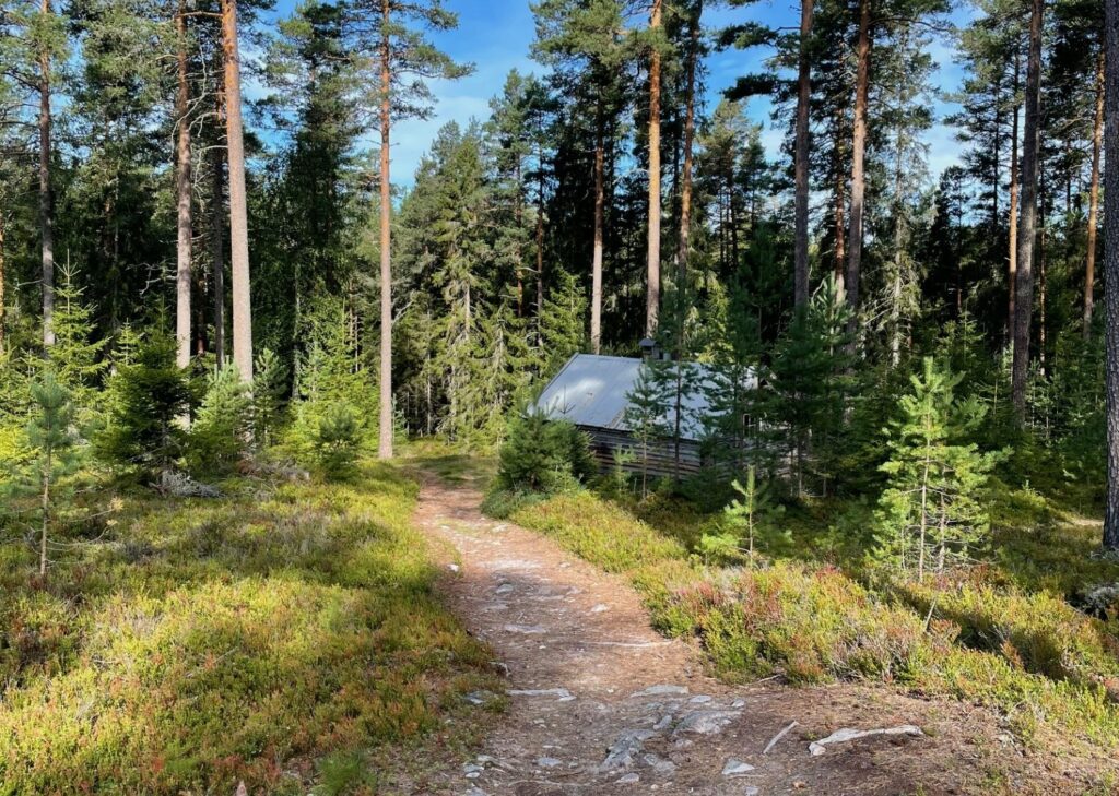 FLOTT NATUR: Mosjømarsjen passerer blant annet Holmyrkoia.