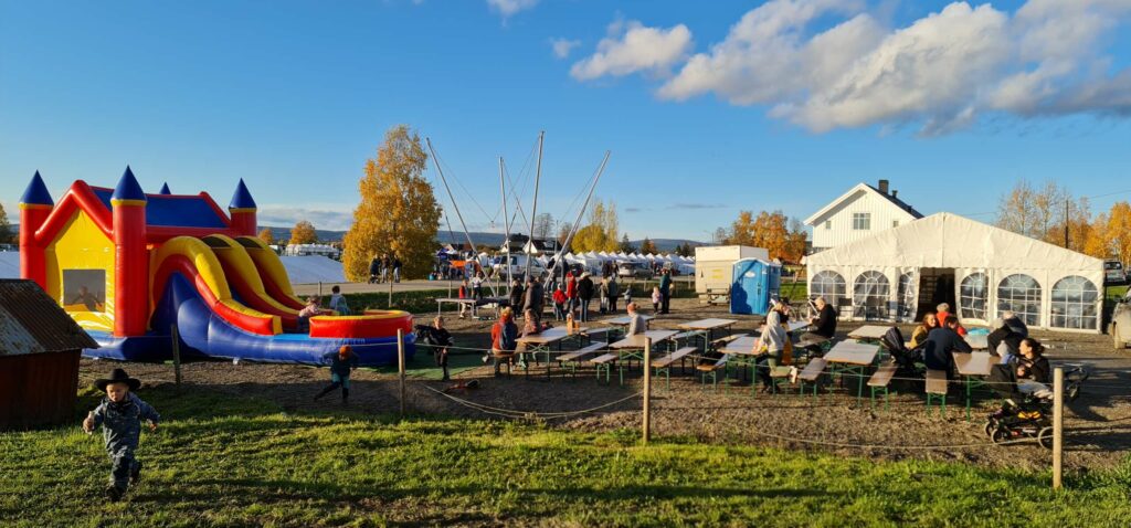 BARNA KOSTE SEG: Mange aktiviteter og opplevelser. Eget område med sklie, strikktrampoline og telt med dyr. Foto: Odd Erland Dalen.